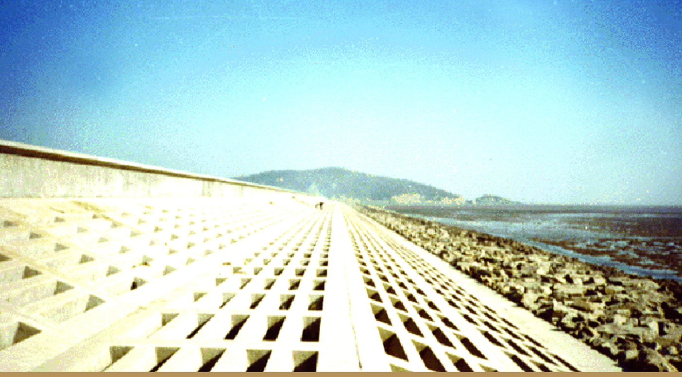 臺(tái)州發(fā)電廠六號(hào)灰?guī)旎覊喂こ?/>
					      <p><a href=